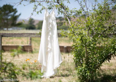 Rancho Nicasio - Julie Mikos dress